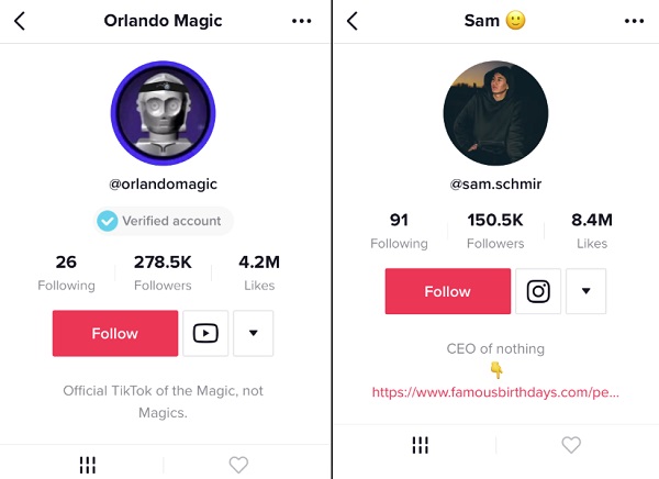 URL TikTok dans le profil