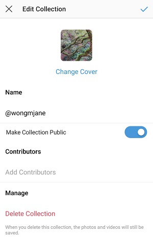 Capture d'écran des collections publiques Instagram