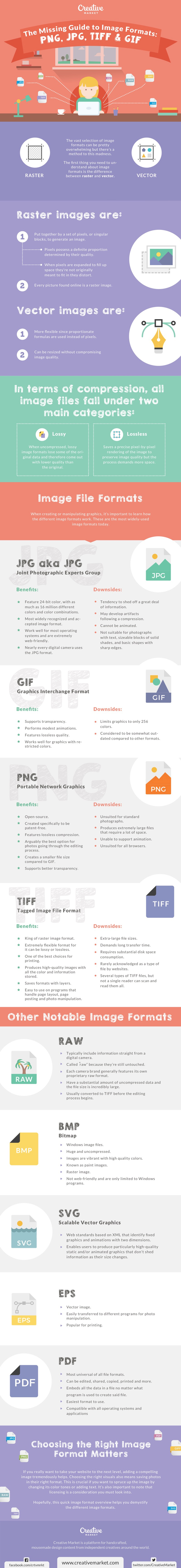 L'infographie examine les différents types de fichiers image