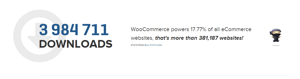 Comptage des clients sur le site Web