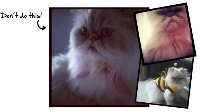 chats!