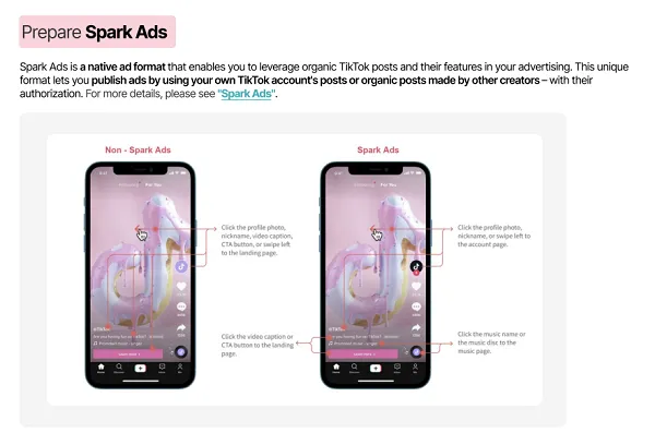 Manuel du gestionnaire de publicités TikTok